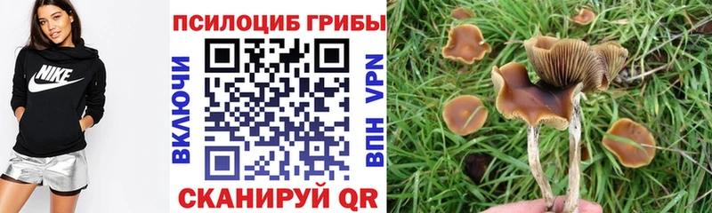 Псилоцибиновые грибы мицелий Иркутск