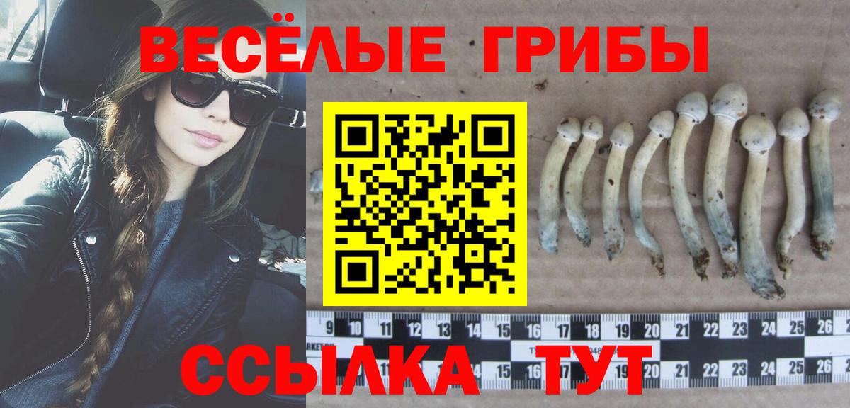 Галлюциногенные грибы мицелий  Галлюциногенные грибы Cubensis  Вход с VPN  Иркутск 